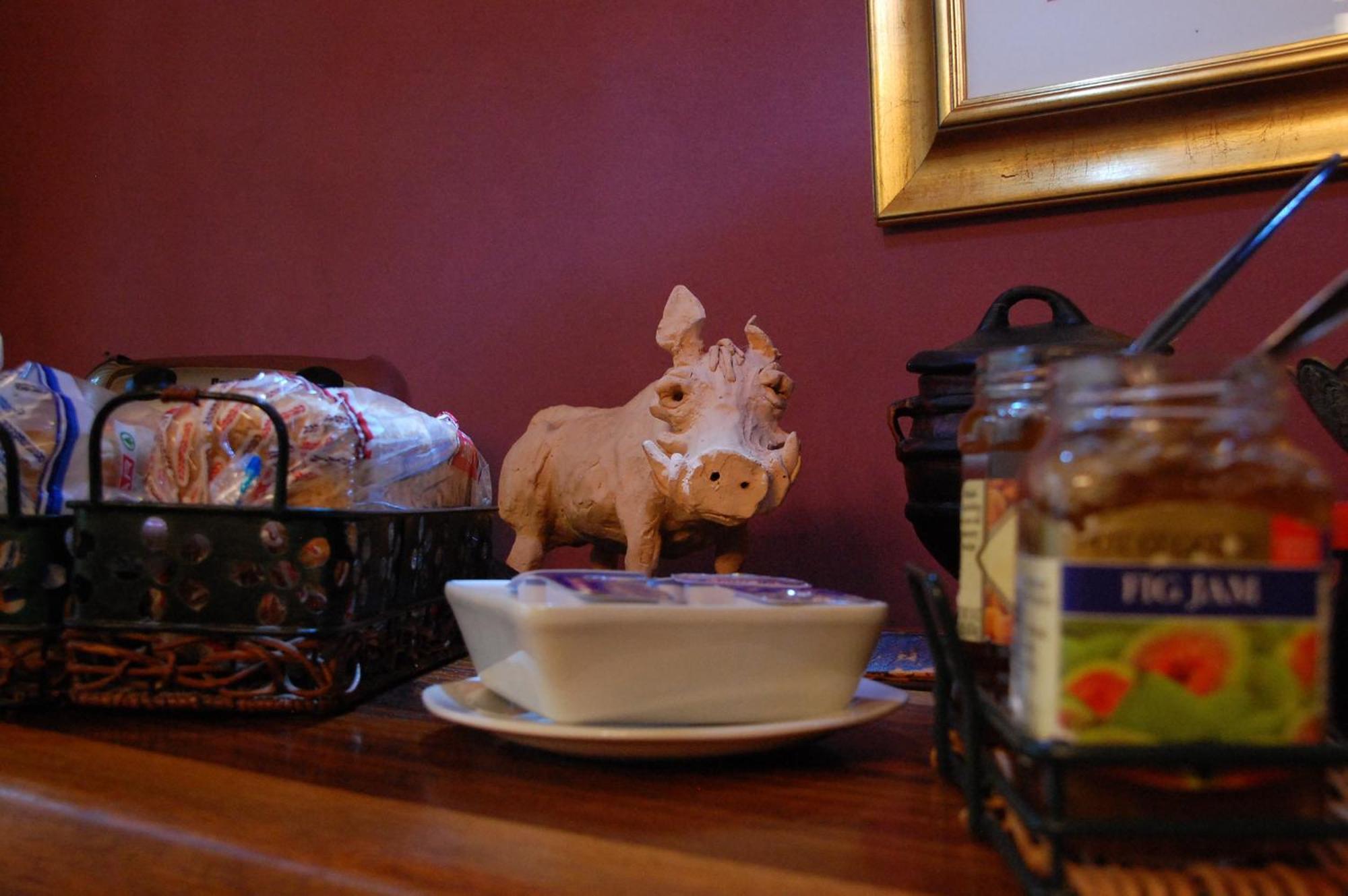 Bush Pillow Guest House Otjiwarongo Eksteriør bilde